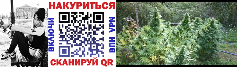 Марихуана марихуана Гдов